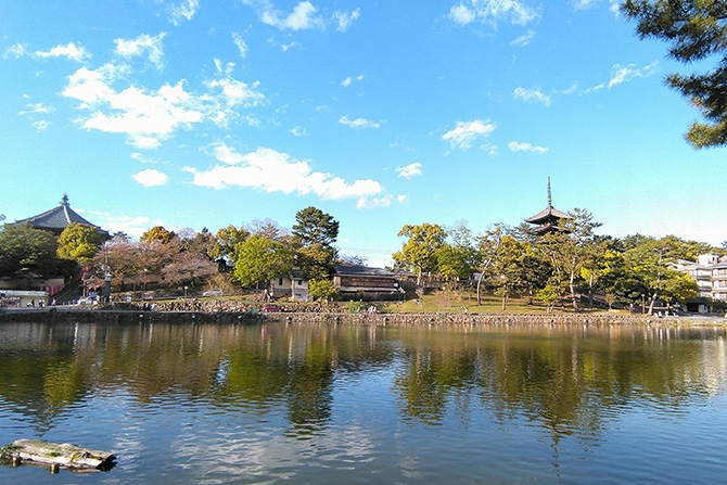 猿沢池を望む奈良公園の風景